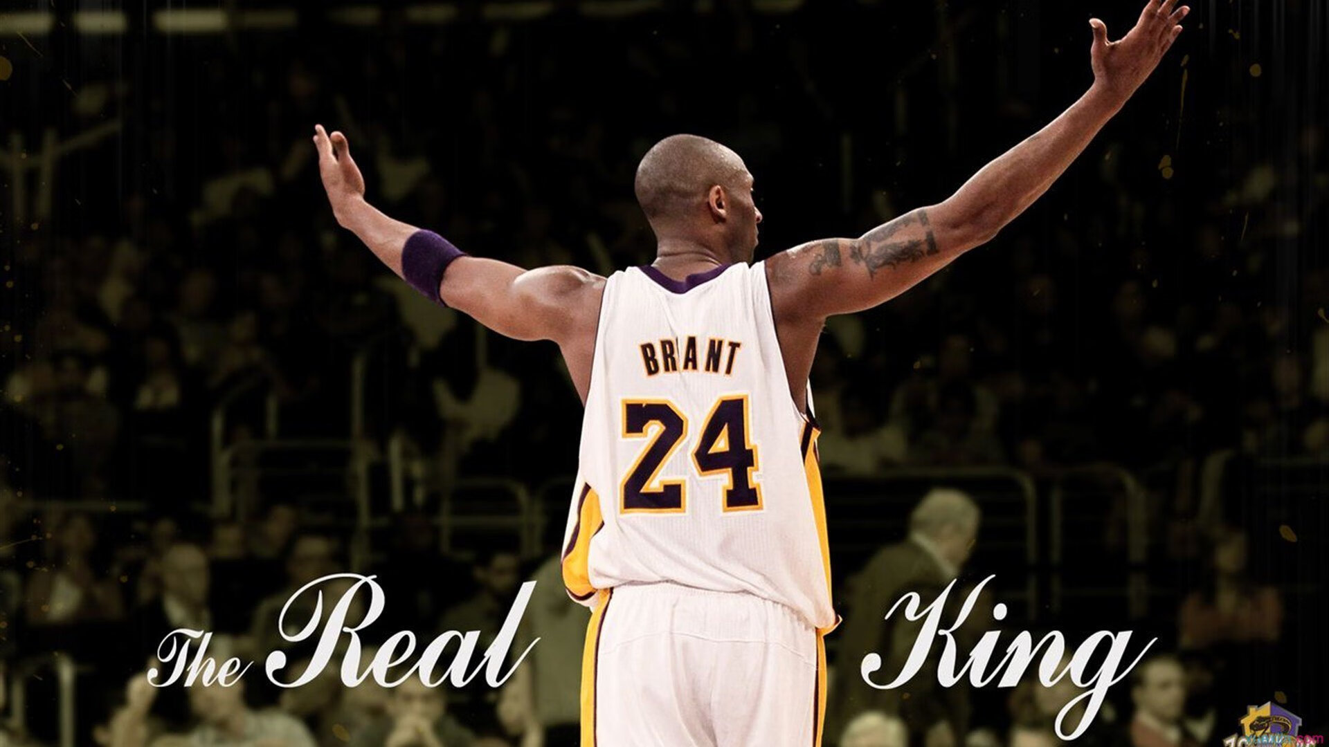 乔治一剑封喉,灰熊铁壁封锁下,快船如何撕开拓者防线?